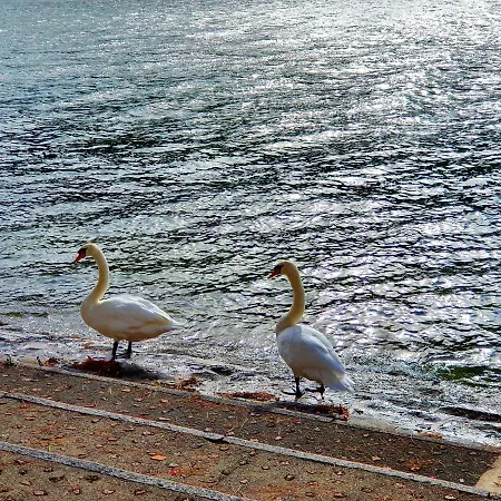 Il Cuore Nel Lago 아파트 *