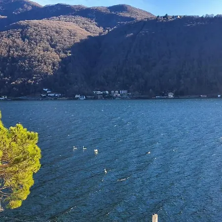 Il Cuore Nel Lago